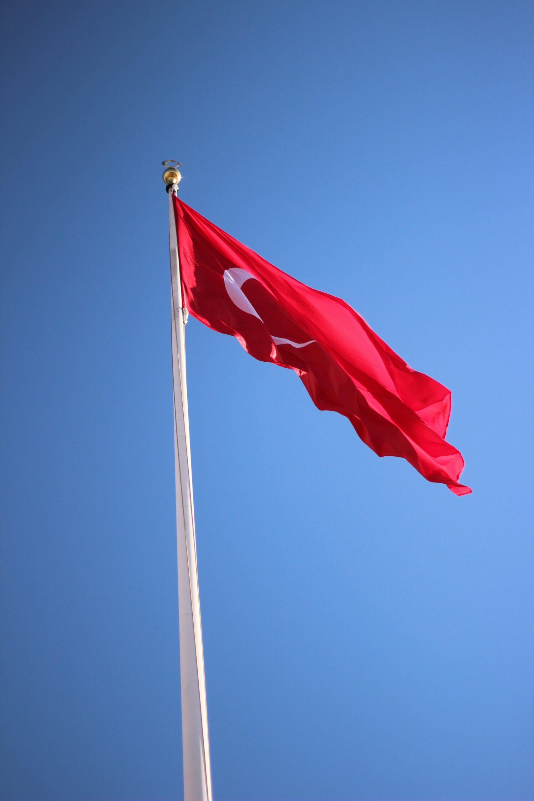 Türk Vatandaşlığı Başvurusu Reddedilirse Ne Yapılabilir?